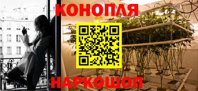 стафф Кимры