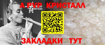 гашиш Кингисепп