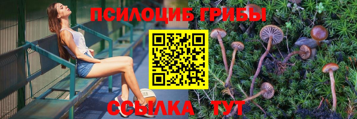 Урус-Мартан  Псилоцибиновые грибы ЛСД  Вход с VPN 
